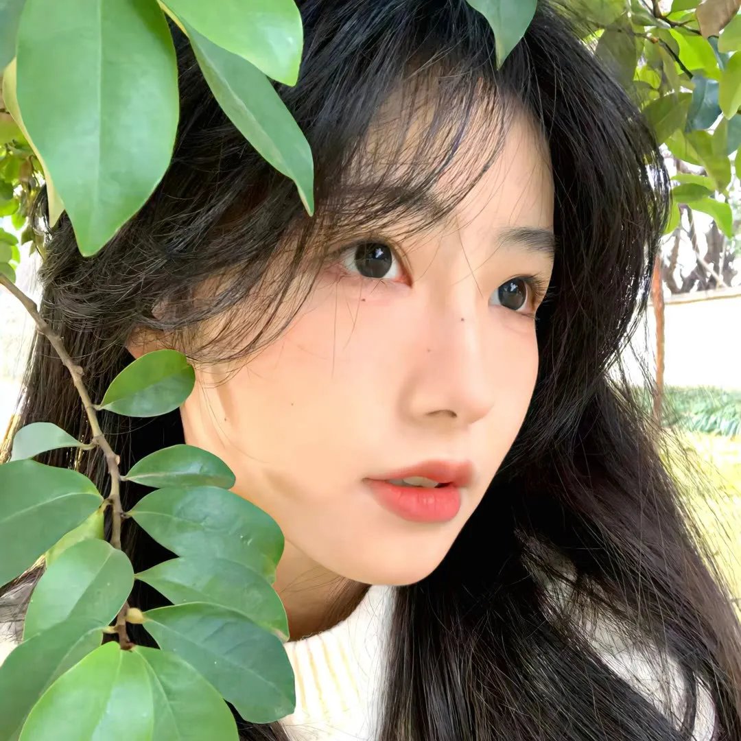 时光碎片